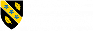 uwtsd logo reversed white