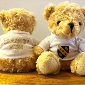 Deio Bear