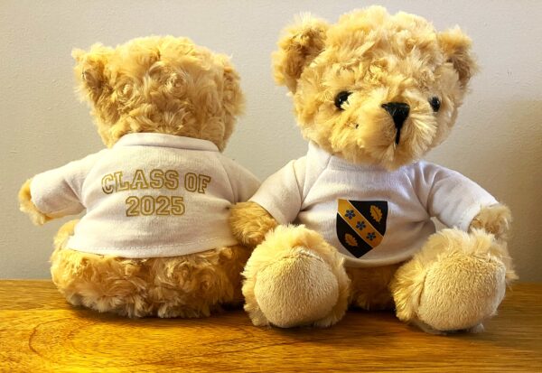 Deio Bear
