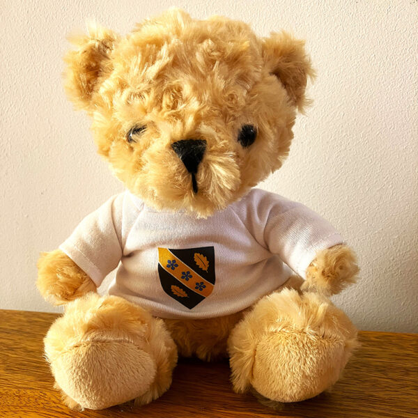 Deio Bear