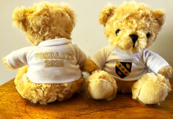 UWTSD Deio Bear - Image 4