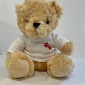 UWTSD Teddy