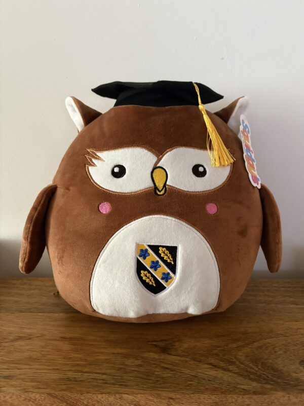 UWTSD Graduation Squidgy's Owl