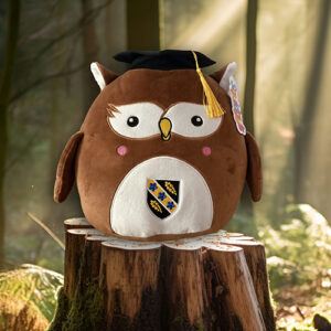 UWTSD Owl