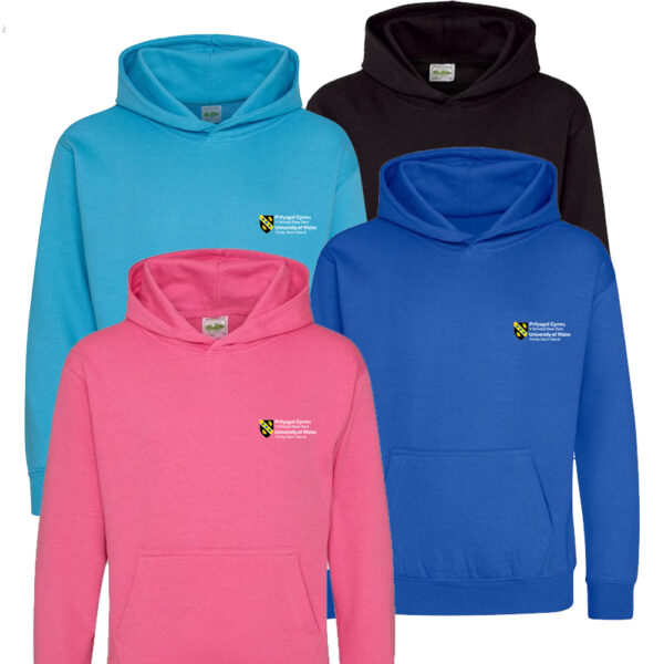 Kids UWTSD Hoodies