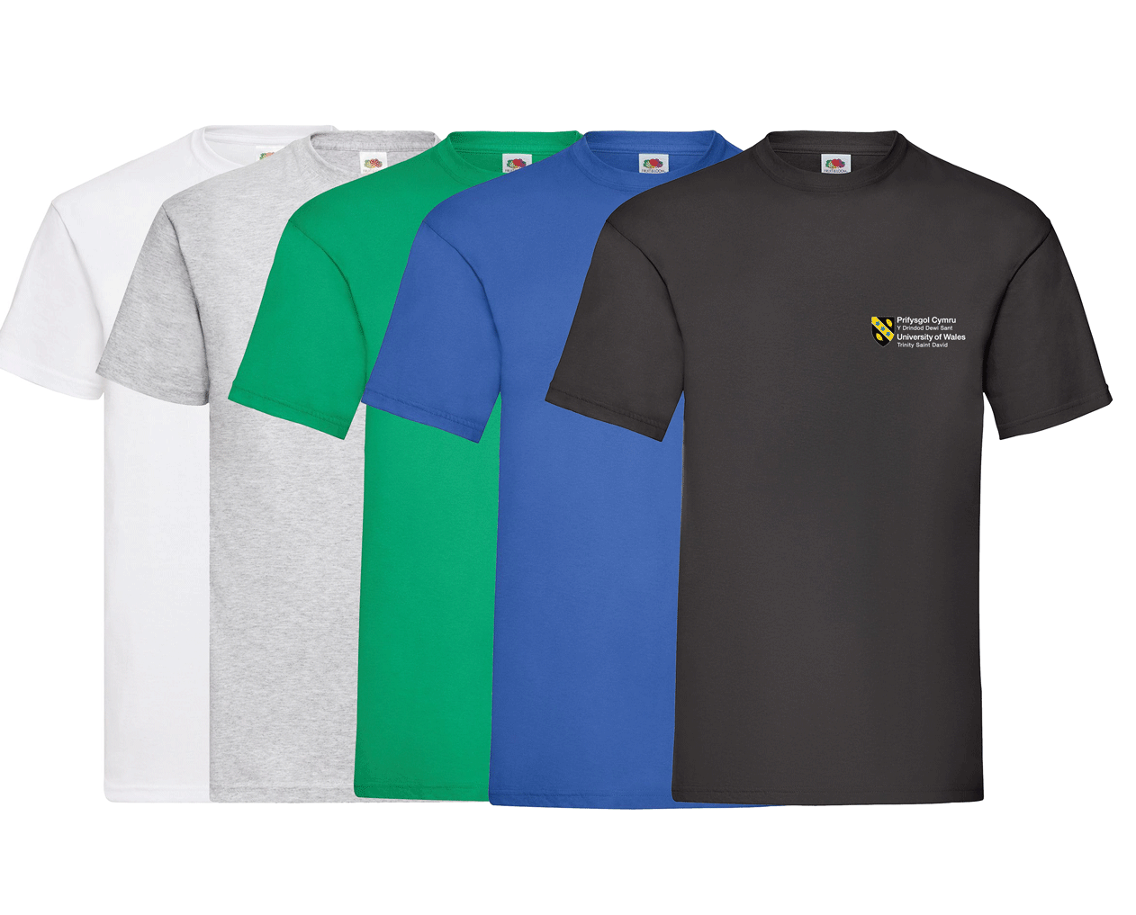 UWTSD Cotton T-shirt